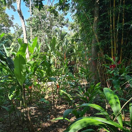 El Jardin De Playa Negra Villa Puerto Viejo de Talamanca Eksteriør billede