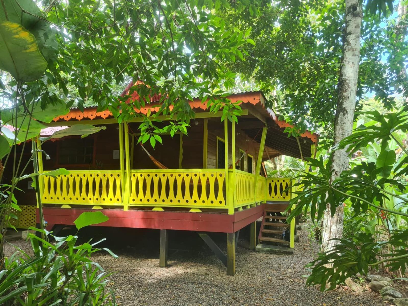 El Jardin De Playa Negra Villa Puerto Viejo de Talamanca Eksteriør billede
