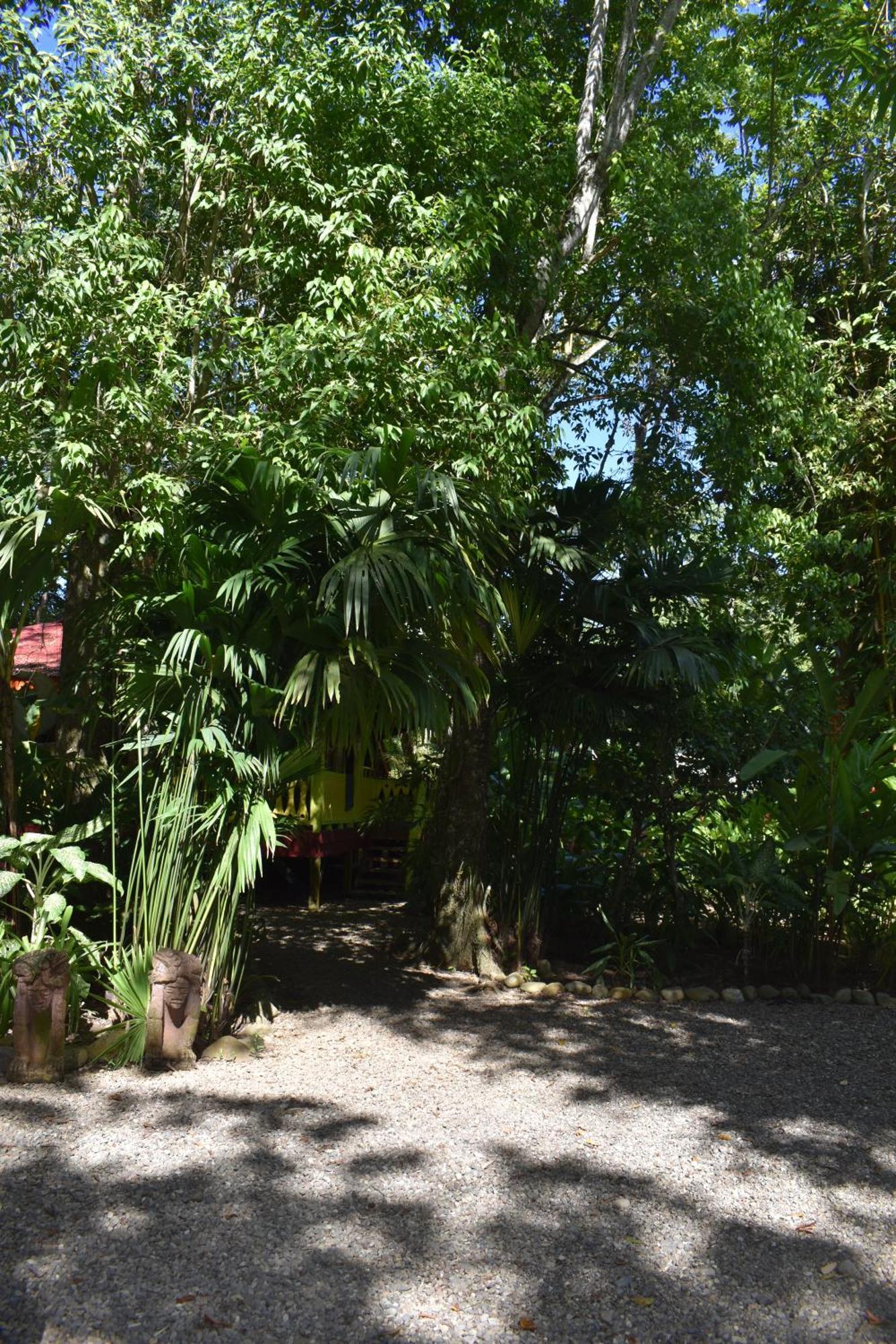 El Jardin De Playa Negra Villa Puerto Viejo de Talamanca Eksteriør billede