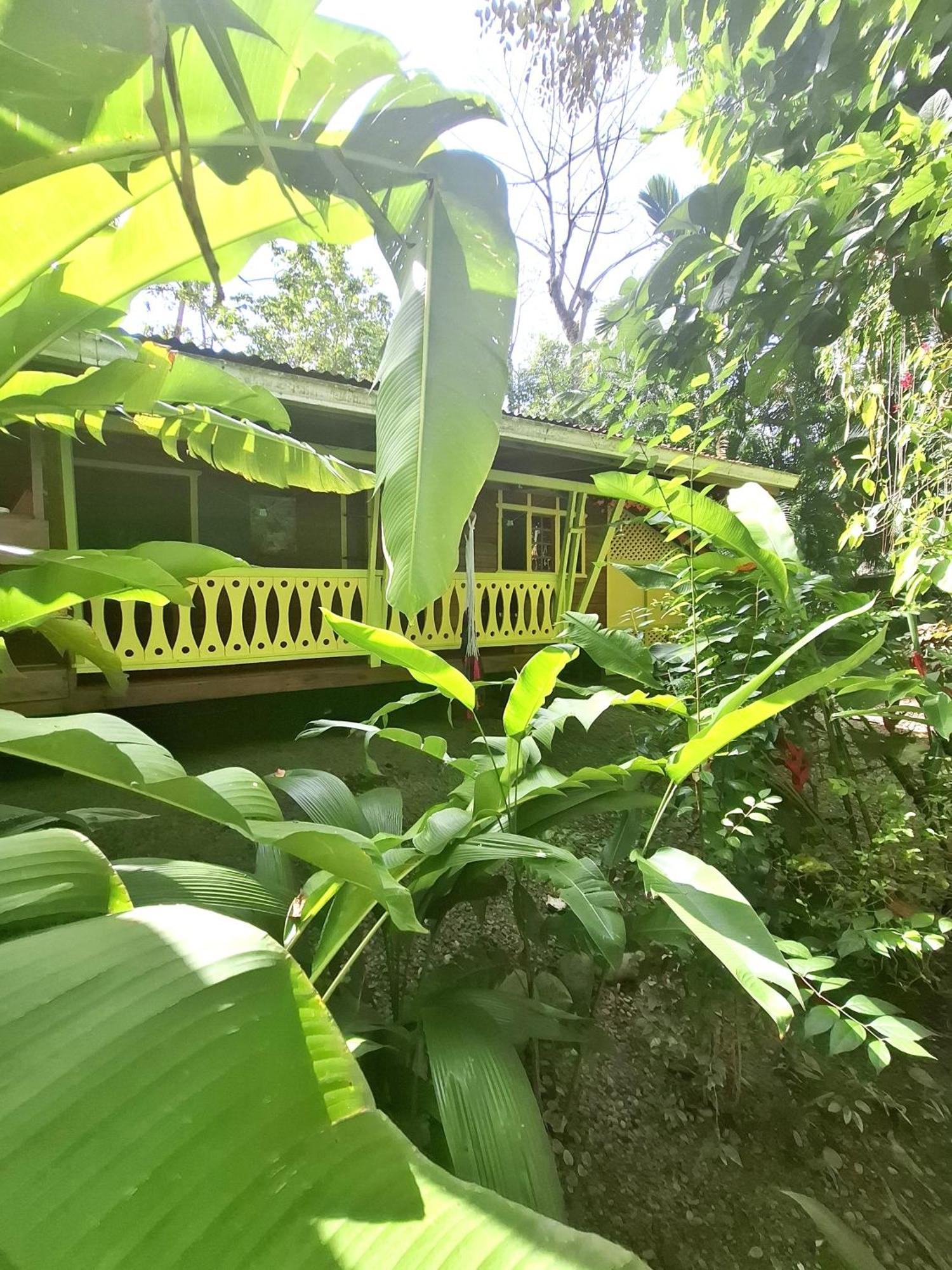 El Jardin De Playa Negra Villa Puerto Viejo de Talamanca Eksteriør billede