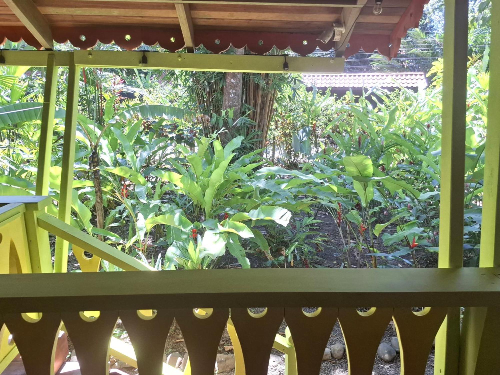 El Jardin De Playa Negra Villa Puerto Viejo de Talamanca Eksteriør billede
