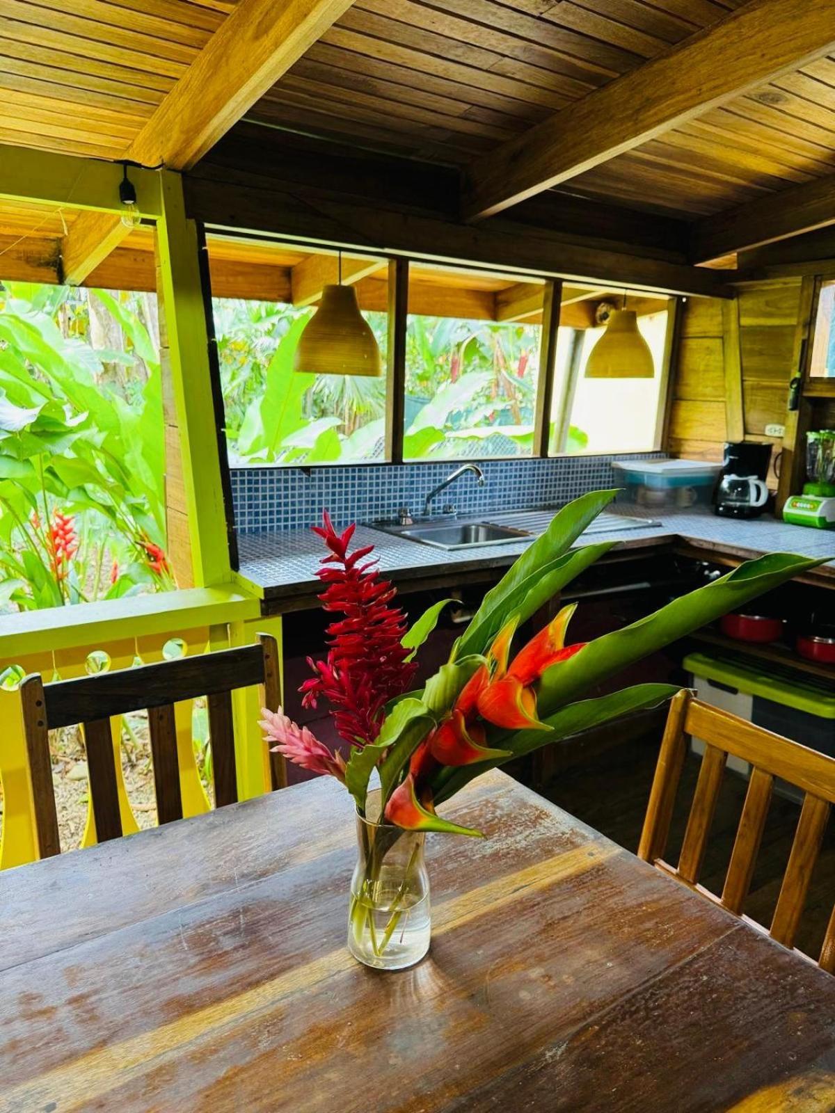 El Jardin De Playa Negra Villa Puerto Viejo de Talamanca Eksteriør billede