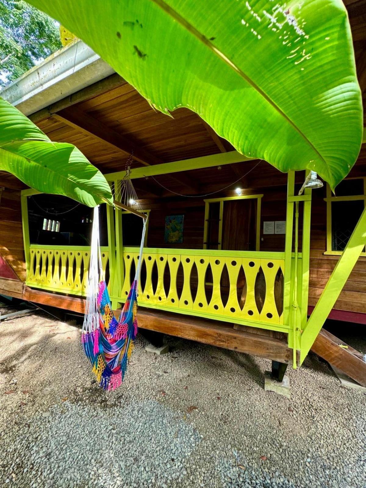El Jardin De Playa Negra Villa Puerto Viejo de Talamanca Eksteriør billede