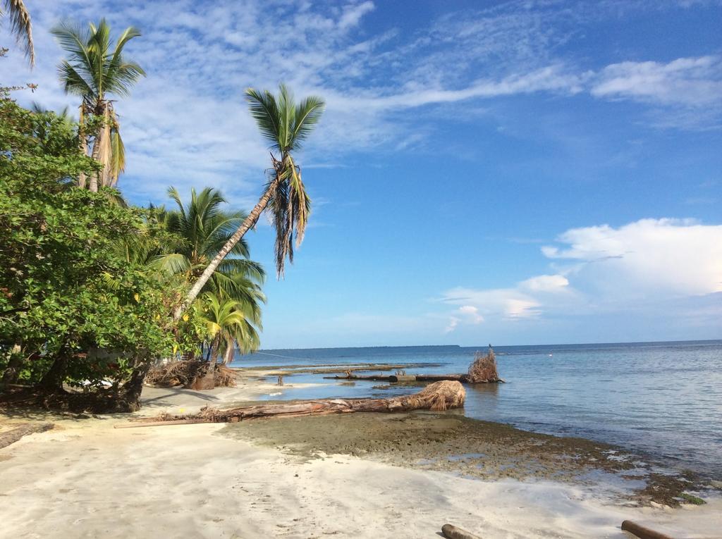 El Jardin De Playa Negra Villa Puerto Viejo de Talamanca Eksteriør billede