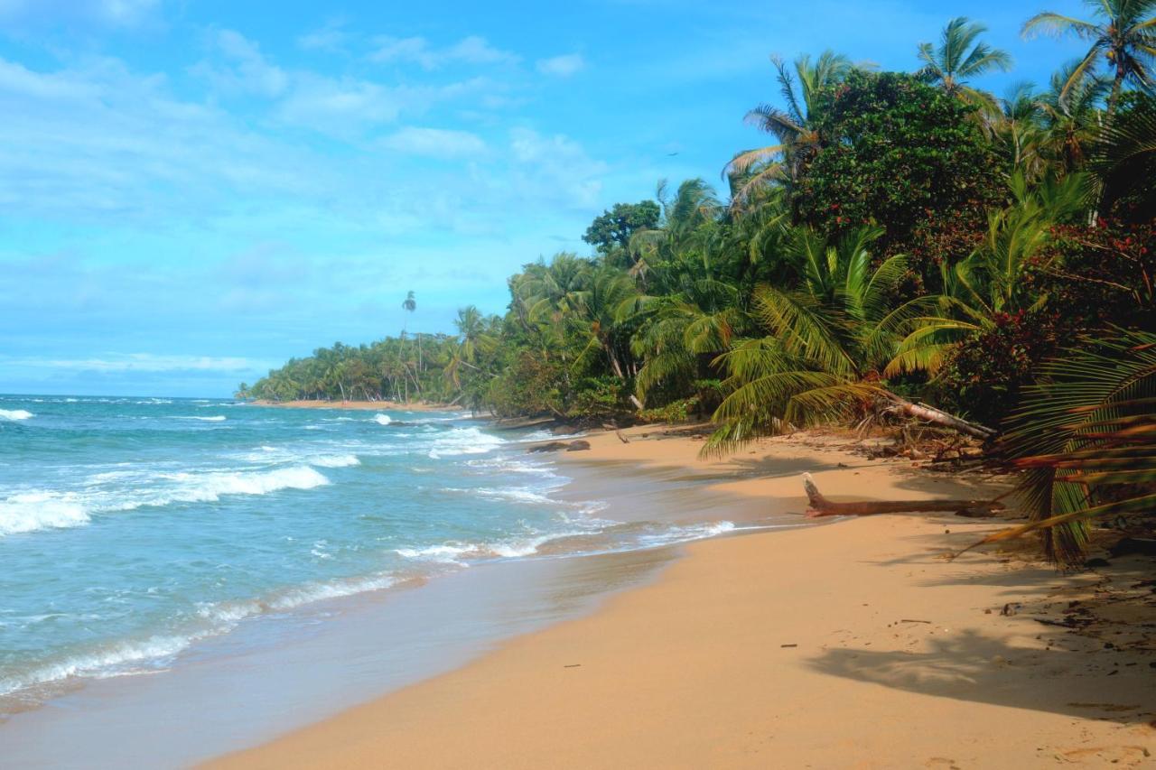 El Jardin De Playa Negra Villa Puerto Viejo de Talamanca Eksteriør billede